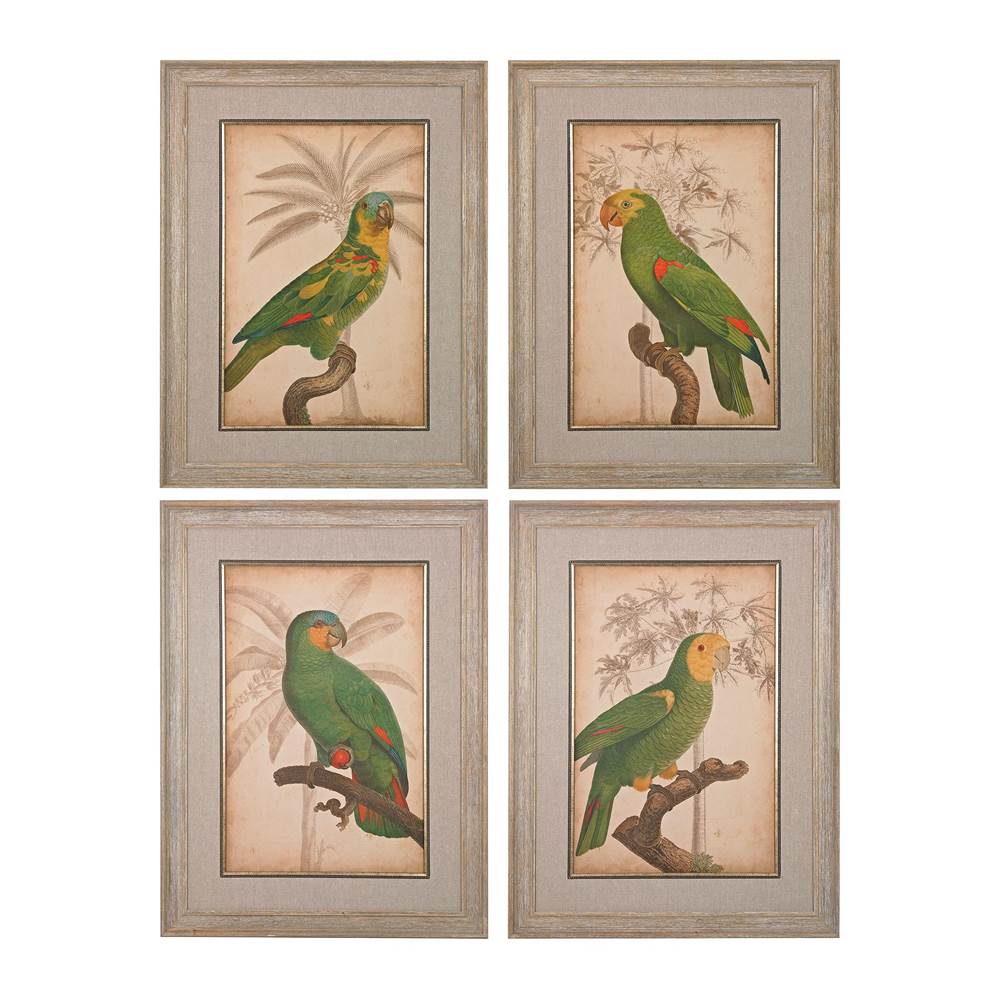 Elk Home Parrot and Palm I, II, III, IV - Fine Art Giclee Under Glass