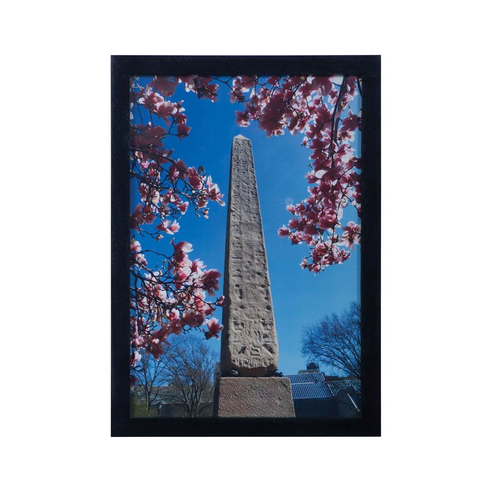 Elk Home Central Park Obelisk